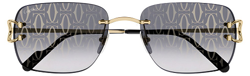 Cartier CT0330S 007
