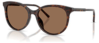 Dolce & Gabbana DG 4540 502/13