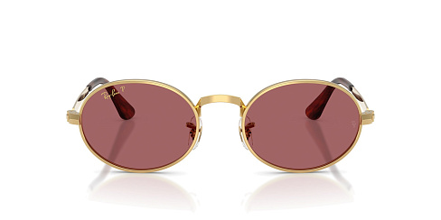 Ray-Ban RB 3931 001/AF