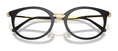 Ray-Ban RX 7255 2000