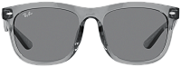 Ray-Ban RB 4260D 645087