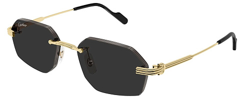 Cartier CT 0616S 001