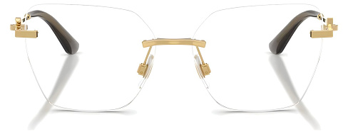Dolce & Gabbana DG 1363 02