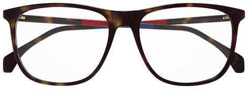 Gucci GG0554O 010