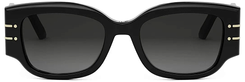 Dior CD 40188I 01B
