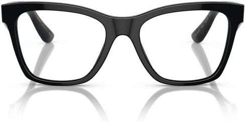 Dolce & Gabbana DG 3374 501