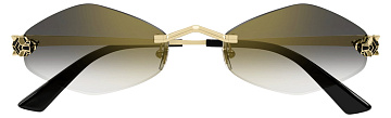 Cartier CT 0433S 001