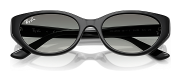 Ray-Ban RB 4457D 667711