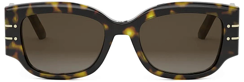 Dior CD 40188I 52F