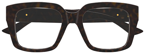 Bottega Veneta BV 1409O 002