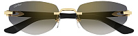 Cartier CT 0580S 001