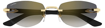 Cartier CT 0580S 001