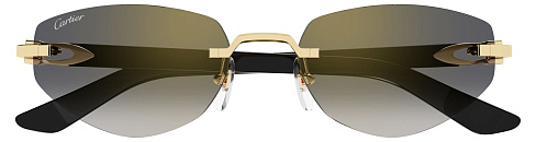 Cartier CT 0580S 001
