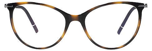 Silhouette L 017 6160