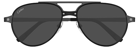 Cartier CT0476S 005