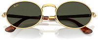 Ray-Ban RB 3931 001/31