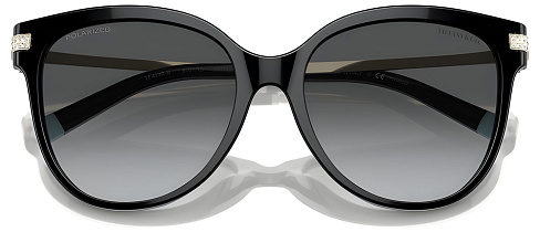 Tiffany & Co TF 4193B 8001T3