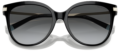 Tiffany & Co TF 4193B 8001T3