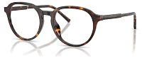 Dolce & Gabbana DG 3444 502