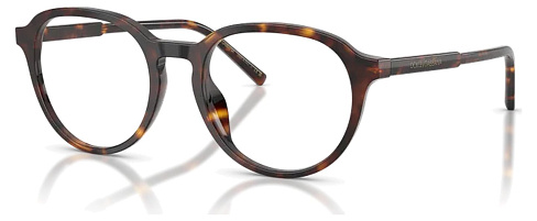 Dolce & Gabbana DG 3444 502