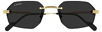 Cartier CT 0616S 001