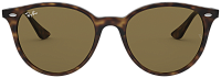 Ray-Ban RB 4305 710/73