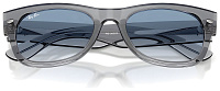 Ray-Ban RB 0832S 68463F