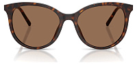 Dolce & Gabbana DG 4540 502/13