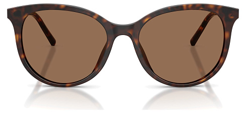 Dolce & Gabbana DG 4540 502/13