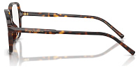 Dolce & Gabbana DG 3442 502