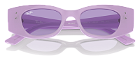 Ray-Ban RB 4427 67581A