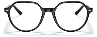 Ray-Ban RX 5395 2000