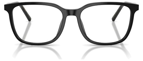 Dolce & Gabbana DG 3445 501