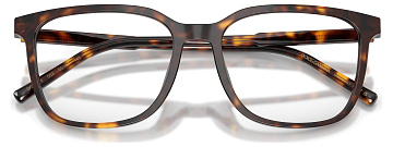 Dolce & Gabbana DG 3445 502