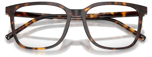 Dolce & Gabbana DG 3445 502
