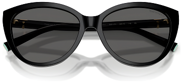 Tiffany & Co TF 4251 8001S4