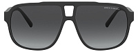 Armani Exchange AX 4104S 80788G