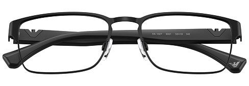 Emporio Armani EA 1027 3001