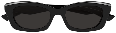 Alexander McQueen AM0474S 001