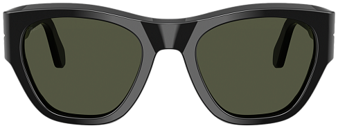 Persol PO 0054S 95/31