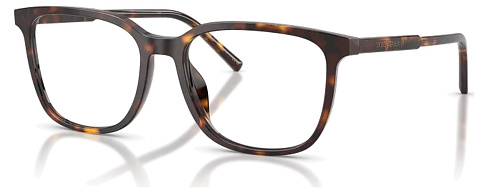 Dolce & Gabbana DG 3445 502