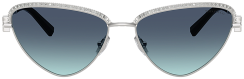 Tiffany & Co TF 3107KB 62139S