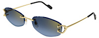 Cartier CT 0467S 002