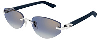 Cartier CT 0580S 004