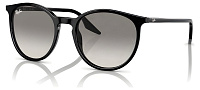 Ray-Ban RB 2204 901/32