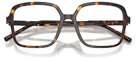 Dolce & Gabbana DG 3442 502