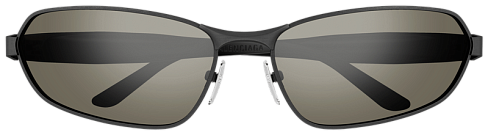 Balenciaga BB0355S 004