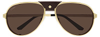 Cartier CT 0296S 005