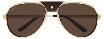 Cartier CT 0296S 005