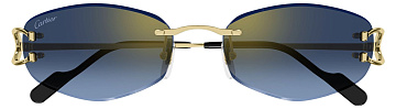 Cartier CT 0467S 002